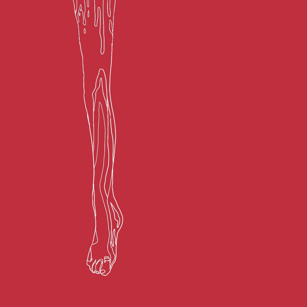 Anatomy